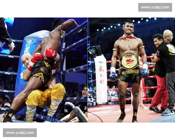 梅威瑟对阵大秀哥的跨界拳击娱乐传奇之战全程回顾与影响解析幕后